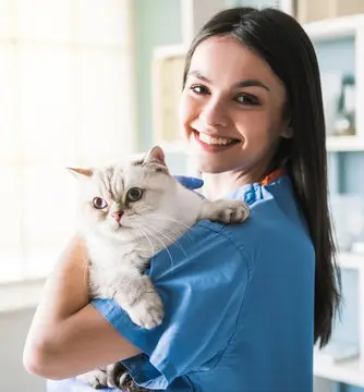 Convênio animal sem carência em Recife